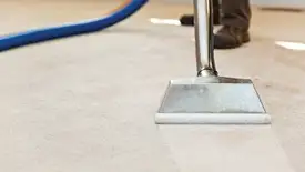Carpet cleaning wand head gliding over a light carpet during hot-water extraction, Bakersfield, CA.