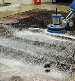 Professional rug cleaning with a rotary floor machine and shampoo foam, deep-cleaning an area rug Bakersfield, CA.